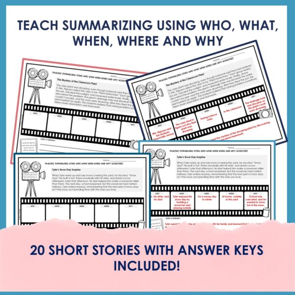 Who What When Where Why Worksheets - Marcys Mayhem